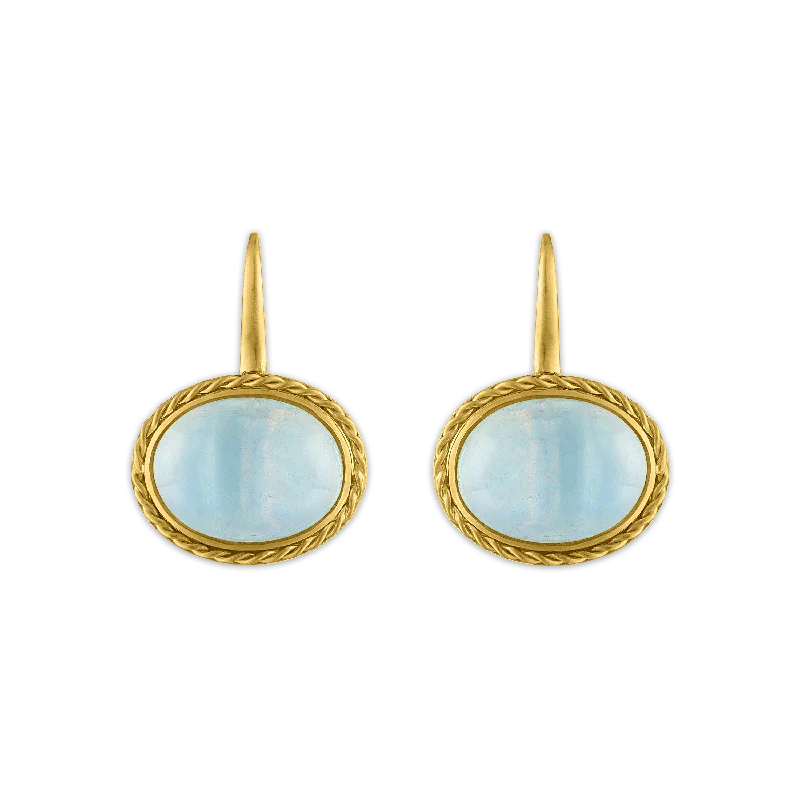 ladies' cubic zirconia stud earrings -Aquamarine Chorda Hook Earrings